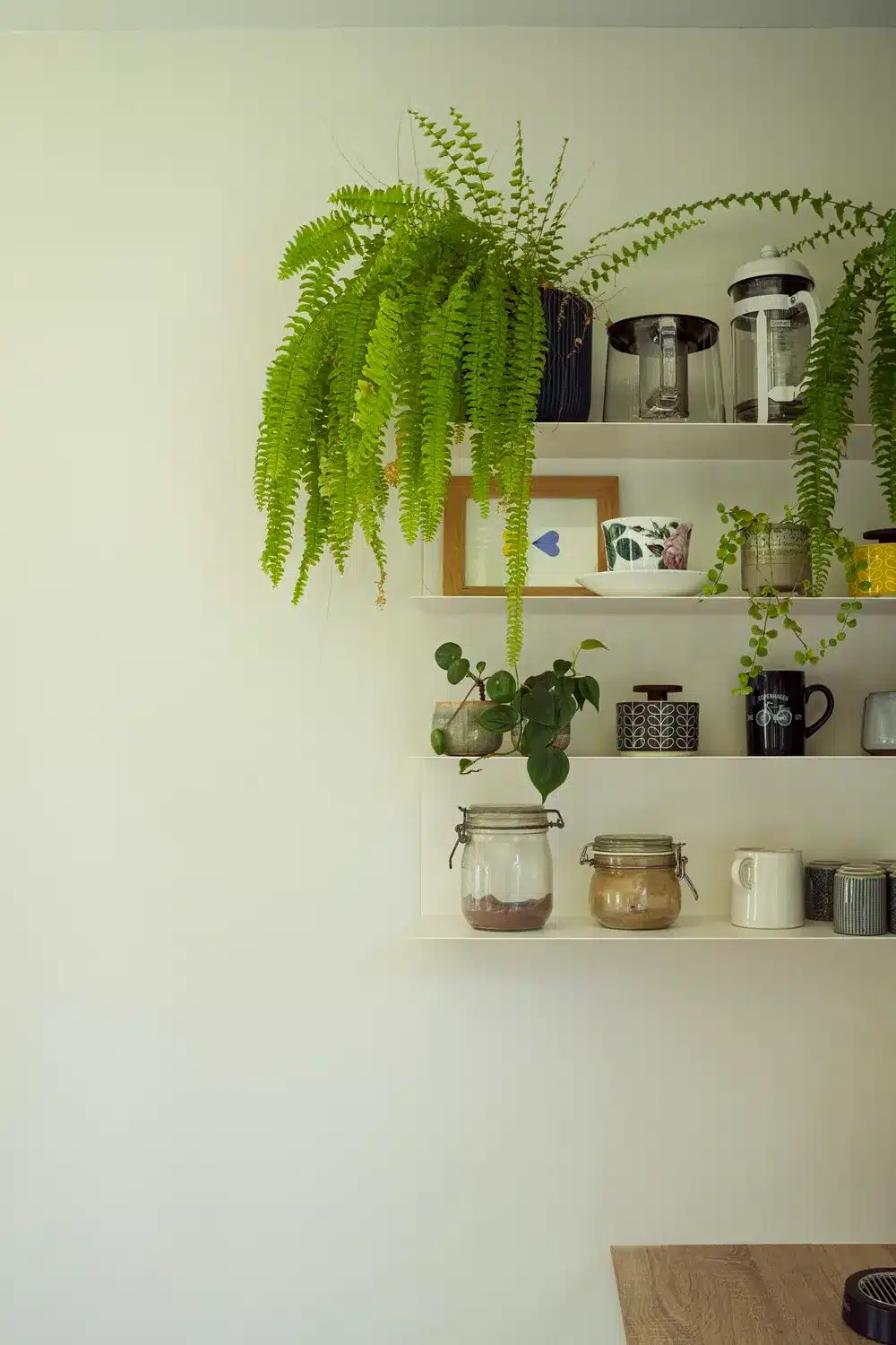 Photo d'un détail d'étagères de cuisine dans un style épuré mettant en valeur les éléments de décoration.