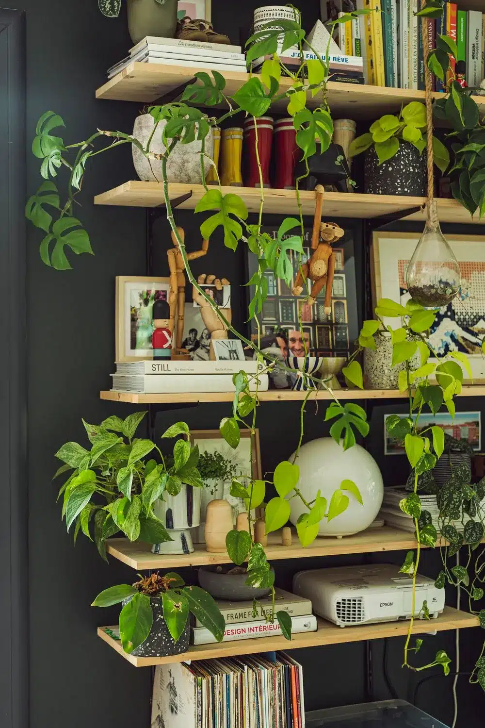 Photo d'étagères bois avec de belles plantes qui cascadent au mieux des livres et de la décoration sur une fond mural noir.