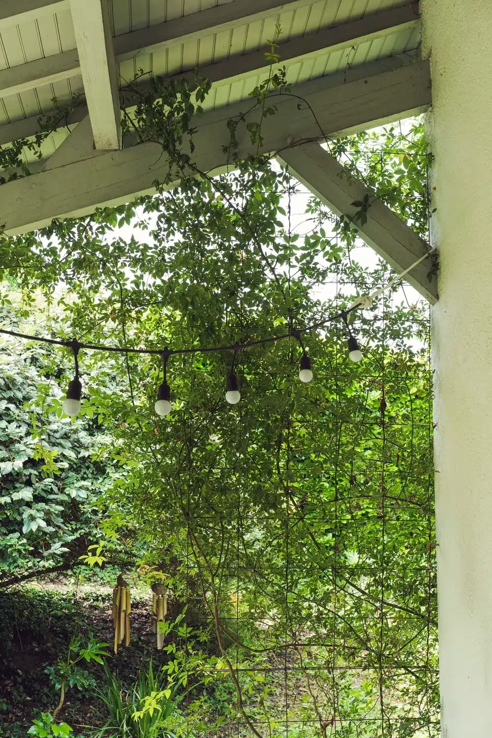Photo d'une terrasse entourée d'une nature luxuriante qui s'enroule autour des poutres de la maison pour créer une ambiance cosy.