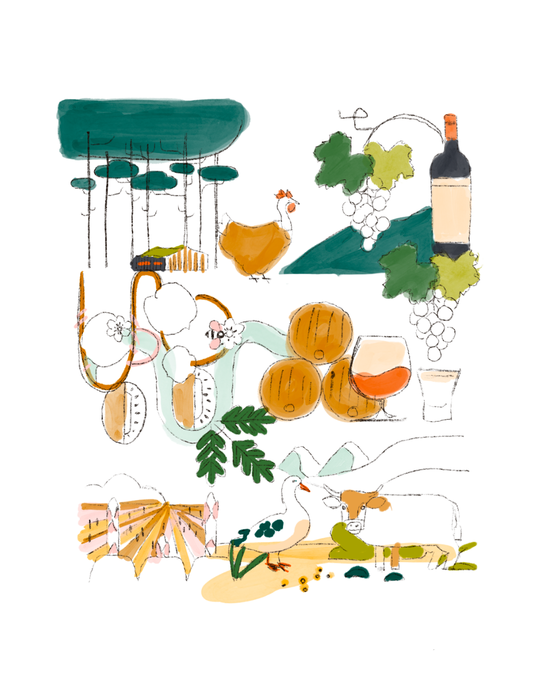 Ebauche de dessin coloré pour une campagne de publicité sur des aliments. Le thème du territoire est omniprésent.